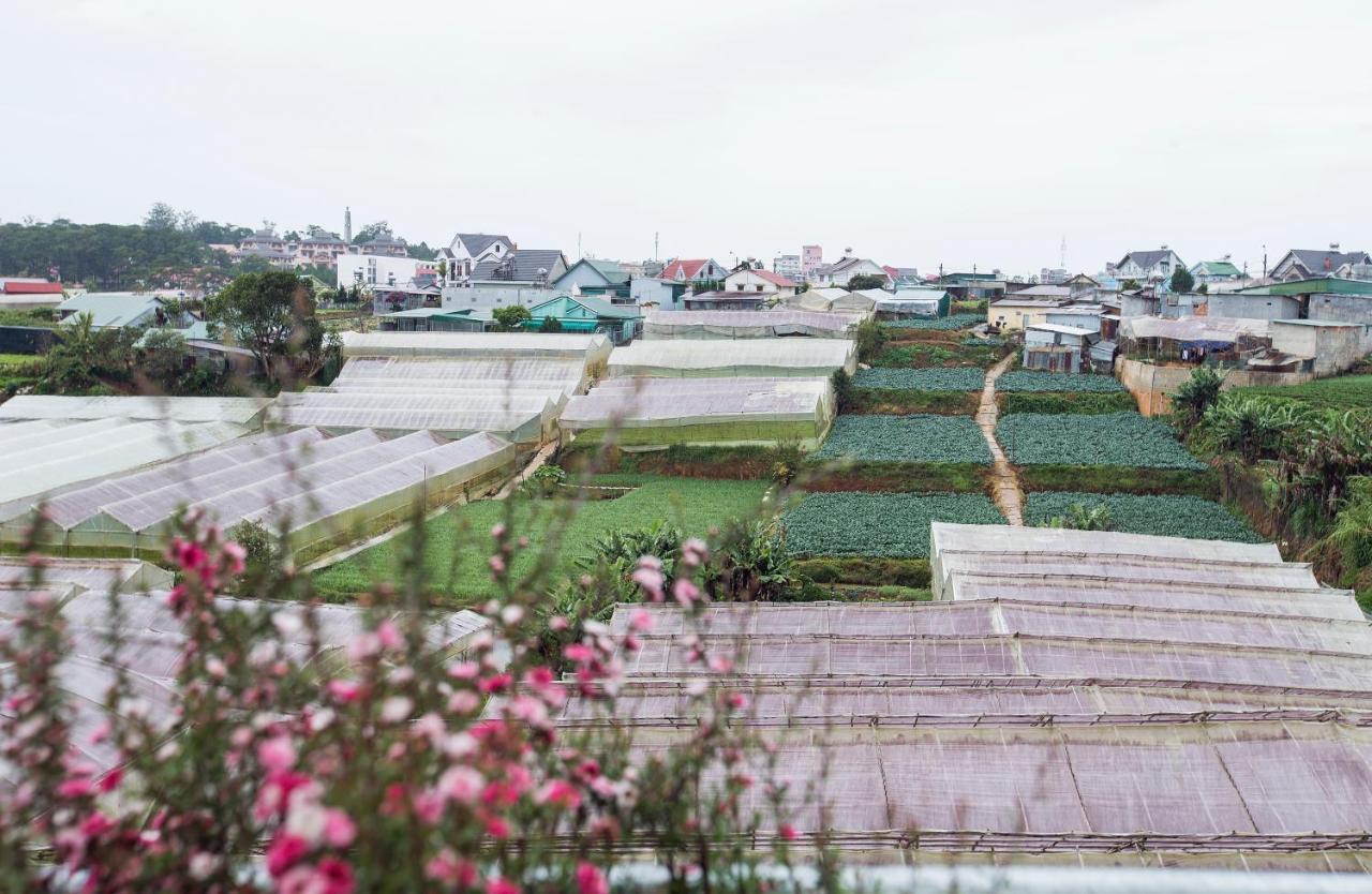 Vaan'S Homestay 大叻 外观 照片